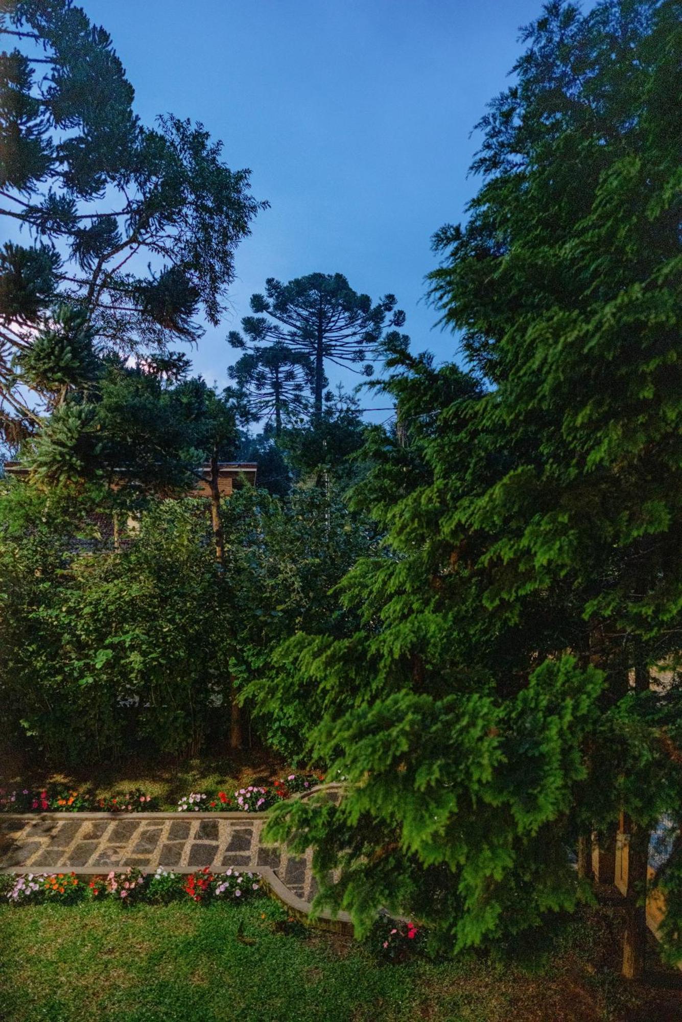 Villetta Lucca Monte Verde  Εξωτερικό φωτογραφία